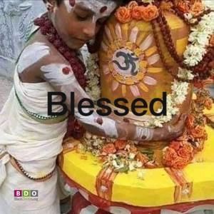 Meet your Posher, Alfreda